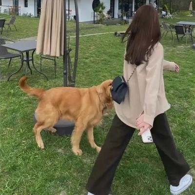 囧妈的极地任务 封面